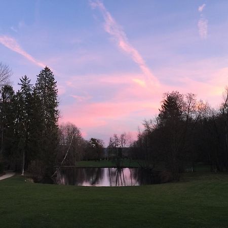 Chateau Du Breuil Bed & Breakfast Gevrolles Dış mekan fotoğraf