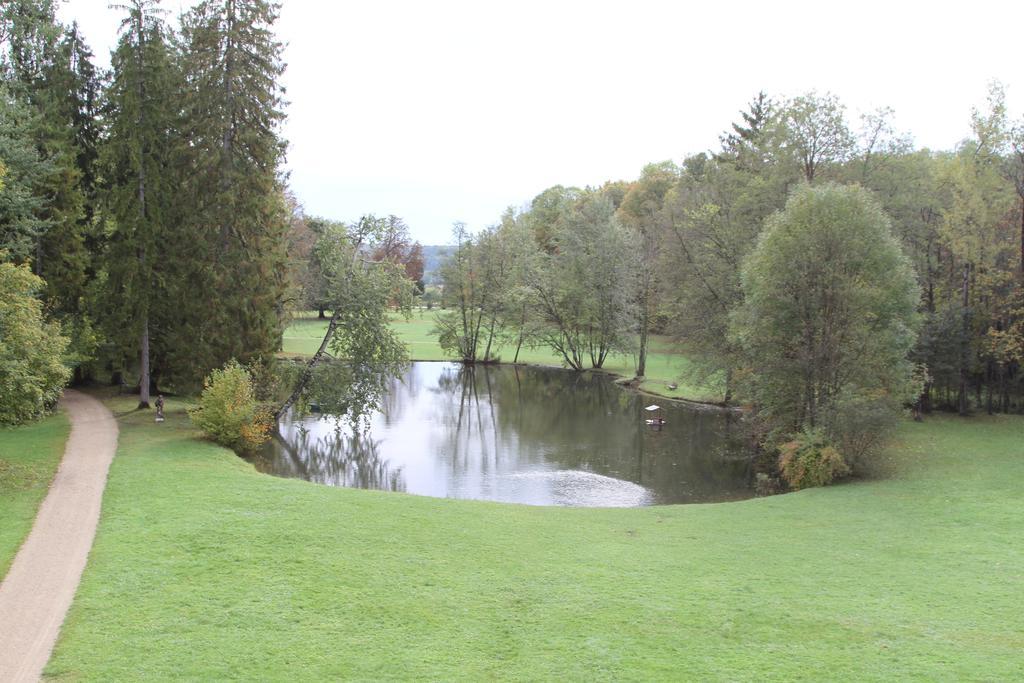 Chateau Du Breuil Bed & Breakfast Gevrolles Oda fotoğraf